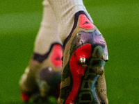 A detailed view of a Predator Elite football boot during the Premier League match between Liverpool and Chelsea at Anfield in Liverpool, Eng...