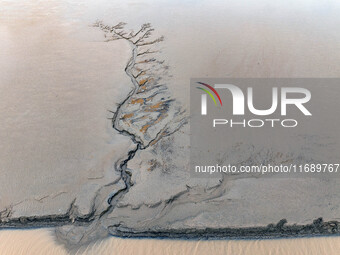 An aerial photo shows the ''tidal tree'' landscape of Dongtaitiaozini wetland in Yancheng City, Jiangsu Province, China, on October 20, 2024...