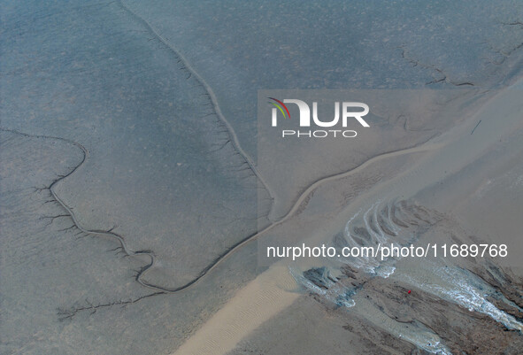 An aerial photo shows the ''tidal tree'' landscape of Dongtaitiaozini wetland in Yancheng City, Jiangsu Province, China, on October 20, 2024...