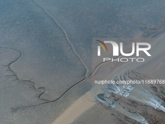 An aerial photo shows the ''tidal tree'' landscape of Dongtaitiaozini wetland in Yancheng City, Jiangsu Province, China, on October 20, 2024...