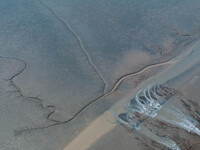 An aerial photo shows the ''tidal tree'' landscape of Dongtaitiaozini wetland in Yancheng City, Jiangsu Province, China, on October 20, 2024...