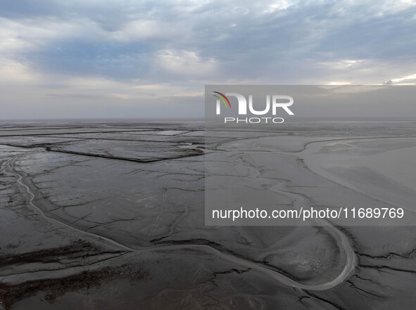 An aerial photo shows the ''tidal tree'' landscape of Dongtaitiaozini wetland in Yancheng City, Jiangsu Province, China, on October 20, 2024...