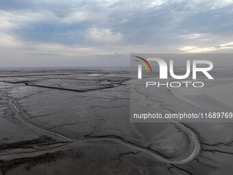 An aerial photo shows the ''tidal tree'' landscape of Dongtaitiaozini wetland in Yancheng City, Jiangsu Province, China, on October 20, 2024...