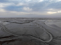 An aerial photo shows the ''tidal tree'' landscape of Dongtaitiaozini wetland in Yancheng City, Jiangsu Province, China, on October 20, 2024...