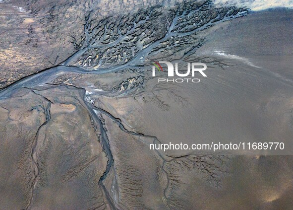 An aerial photo shows the ''tidal tree'' landscape of Dongtaitiaozini wetland in Yancheng City, Jiangsu Province, China, on October 20, 2024...