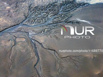 An aerial photo shows the ''tidal tree'' landscape of Dongtaitiaozini wetland in Yancheng City, Jiangsu Province, China, on October 20, 2024...