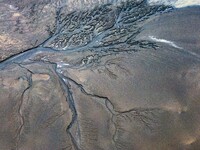 An aerial photo shows the ''tidal tree'' landscape of Dongtaitiaozini wetland in Yancheng City, Jiangsu Province, China, on October 20, 2024...