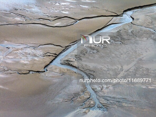 An aerial photo shows the ''tidal tree'' landscape of Dongtaitiaozini wetland in Yancheng City, Jiangsu Province, China, on October 20, 2024...