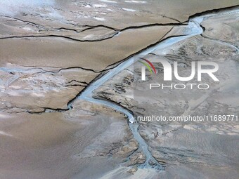 An aerial photo shows the ''tidal tree'' landscape of Dongtaitiaozini wetland in Yancheng City, Jiangsu Province, China, on October 20, 2024...