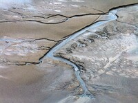 An aerial photo shows the ''tidal tree'' landscape of Dongtaitiaozini wetland in Yancheng City, Jiangsu Province, China, on October 20, 2024...