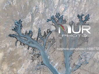 An aerial photo shows the ''tidal tree'' landscape of Dongtaitiaozini wetland in Yancheng City, Jiangsu Province, China, on October 20, 2024...