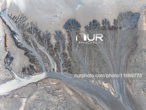 An aerial photo shows the ''tidal tree'' landscape of Dongtaitiaozini wetland in Yancheng City, Jiangsu Province, China, on October 20, 2024...