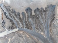 An aerial photo shows the ''tidal tree'' landscape of Dongtaitiaozini wetland in Yancheng City, Jiangsu Province, China, on October 20, 2024...