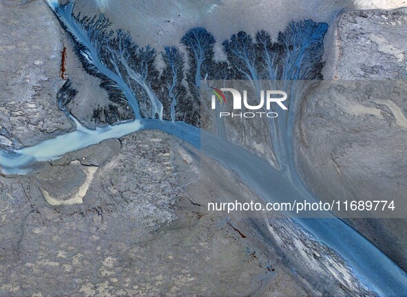 An aerial photo shows the ''tidal tree'' landscape of Dongtaitiaozini wetland in Yancheng City, Jiangsu Province, China, on October 20, 2024...