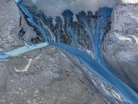 An aerial photo shows the ''tidal tree'' landscape of Dongtaitiaozini wetland in Yancheng City, Jiangsu Province, China, on October 20, 2024...