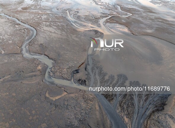 An aerial photo shows the ''tidal tree'' landscape of Dongtaitiaozini wetland in Yancheng City, Jiangsu Province, China, on October 20, 2024...