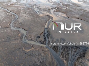 An aerial photo shows the ''tidal tree'' landscape of Dongtaitiaozini wetland in Yancheng City, Jiangsu Province, China, on October 20, 2024...