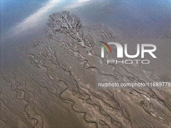 An aerial photo shows the ''tidal tree'' landscape of Dongtaitiaozini wetland in Yancheng City, Jiangsu Province, China, on October 20, 2024...