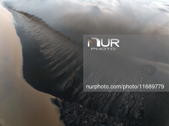 An aerial photo shows the ''tidal tree'' landscape of Dongtaitiaozini wetland in Yancheng City, Jiangsu Province, China, on October 20, 2024...