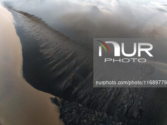 An aerial photo shows the ''tidal tree'' landscape of Dongtaitiaozini wetland in Yancheng City, Jiangsu Province, China, on October 20, 2024...