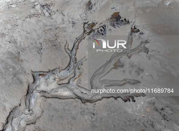 An aerial photo shows the ''tidal tree'' landscape of Dongtaitiaozini wetland in Yancheng City, Jiangsu Province, China, on October 20, 2024...