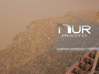 A photo taken on October 21, 2024, shows the Sanmenxia Dam in Sanmenxia, China. (