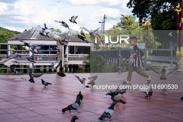 A boy plays with pigeons near Sud Siam Park in Betong, Thailand, on October 21, 2024. 