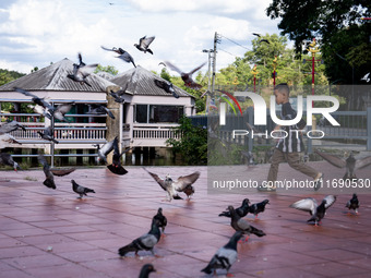 A boy plays with pigeons near Sud Siam Park in Betong, Thailand, on October 21, 2024. (