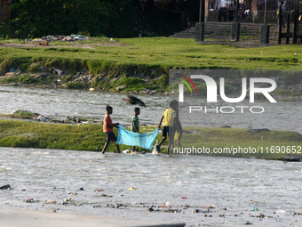 Children use mosquito nets as they try to catch fish in the polluted river water of Mahananda in Siliguri, India, on October 21, 2024. (