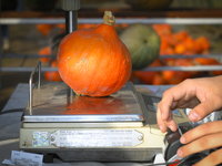 Pumpkins are on sale during a pumpkin festival in Warsaw, Poland, on October 20, 2024. (