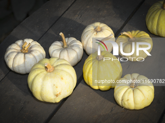 Pumpkins are on sale during a pumpkin festival in Warsaw, Poland, on October 20, 2024. (