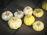 Pumpkins are on sale during a pumpkin festival in Warsaw, Poland, on October 20, 2024. (