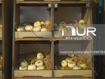 Pumpkins on sale during a pumpkin festival in Warsaw, Poland on Oct. 20, 2024. (