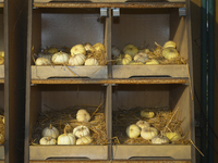 Pumpkins on sale during a pumpkin festival in Warsaw, Poland on Oct. 20, 2024. (