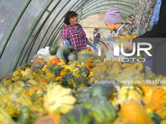 Visitors examine varieties of pumpkins during a pumpkin festival in Warsaw, Poland, on October 20, 2024. (