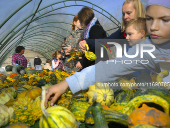 Visitors examine varieties of pumpkins during a pumpkin festival in Warsaw, Poland on Oct. 20, 2024.  (