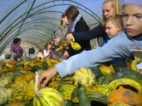 Visitors examine varieties of pumpkins during a pumpkin festival in Warsaw, Poland on Oct. 20, 2024.  (