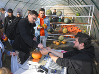 A man buys a pumpkin during a pumpkin festival in Warsaw, Poland, on October 20, 2024. (