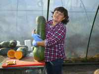 A vendor lifts a Long of Naples squash during a pumpkin festival in Warsaw, Poland, on October 20, 2024 (