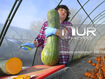 A vendor lifts a Long of Naples squash during a pumpkin festival in Warsaw, Poland on Oct. 20, 2024 (