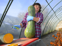 A vendor lifts a Long of Naples squash during a pumpkin festival in Warsaw, Poland on Oct. 20, 2024 (