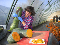 A vendor cuts a Long of Naples squash during a pumpkin festival in Warsaw, Poland, on October 20, 2024. (