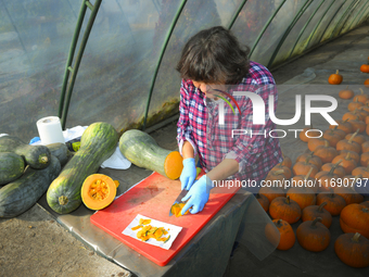 A vendor cut a Long of Naples squash during a pumpkin festival in Warsaw, Poland on Oct. 20, 2024.  (