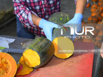 A vendor cut a Long of Naples squash during a pumpkin festival in Warsaw, Poland on Oct. 20, 2024.  (