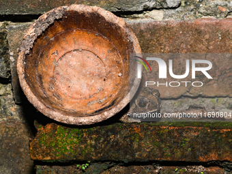 An Asian Toad (Duttaphrynus melanostictus), also known as the Asian Black-spined Toad or Asian Common Toad, is seen hiding behind a round cl...