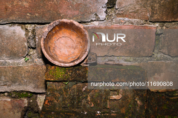 An Asian Toad (Duttaphrynus melanostictus), also known as the Asian Black-spined Toad or Asian Common Toad, is seen hiding behind a round cl...