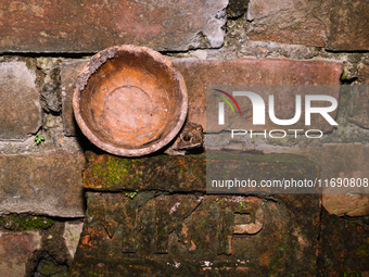 An Asian Toad (Duttaphrynus melanostictus), also known as the Asian Black-spined Toad or Asian Common Toad, is seen hiding behind a round cl...