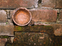 An Asian Toad (Duttaphrynus melanostictus), also known as the Asian Black-spined Toad or Asian Common Toad, is seen hiding behind a round cl...