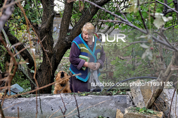 A woman and a dog are near a building damaged by the October 18 Russian missile strike in Odesa, Ukraine, on October 19, 2024. NO USE RUSSIA...