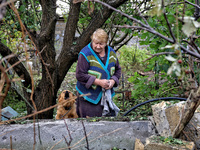 A woman and a dog are near a building damaged by the October 18 Russian missile strike in Odesa, Ukraine, on October 19, 2024. NO USE RUSSIA...